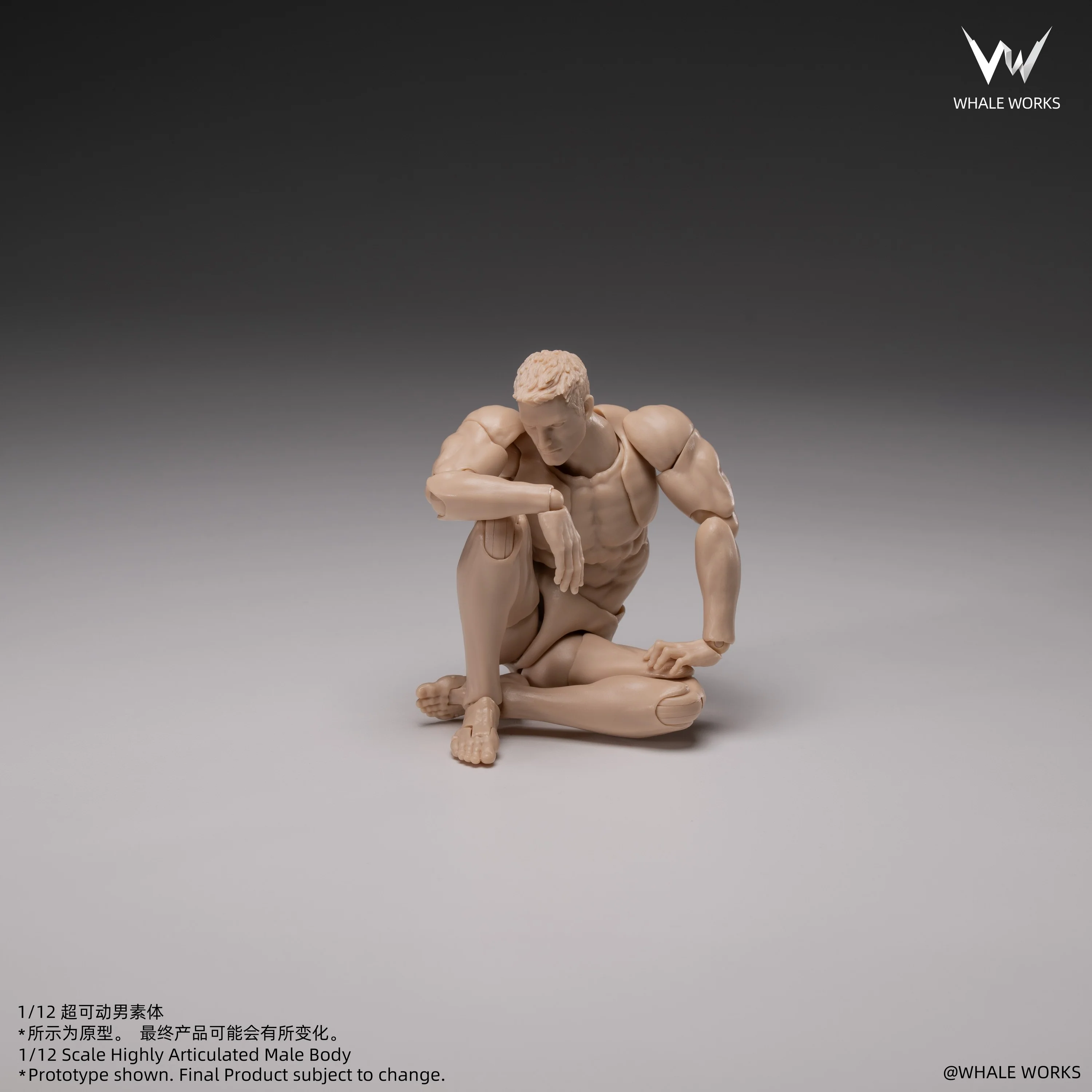Product image 12